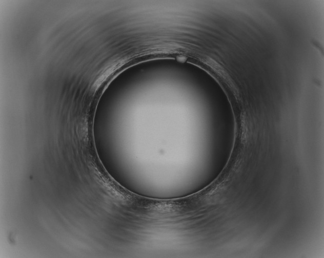 X0000103480834200809121648