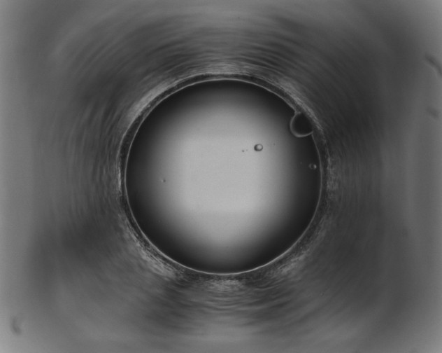 X0000103480837200809121648