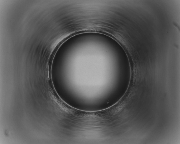 X0000103480838200809121648