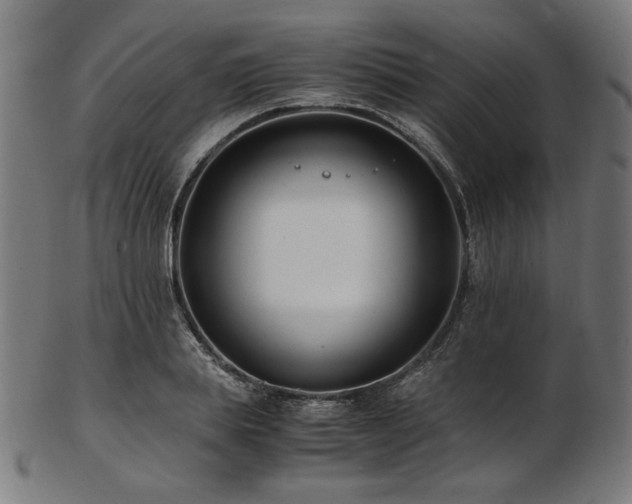 X0000103480839200809121648