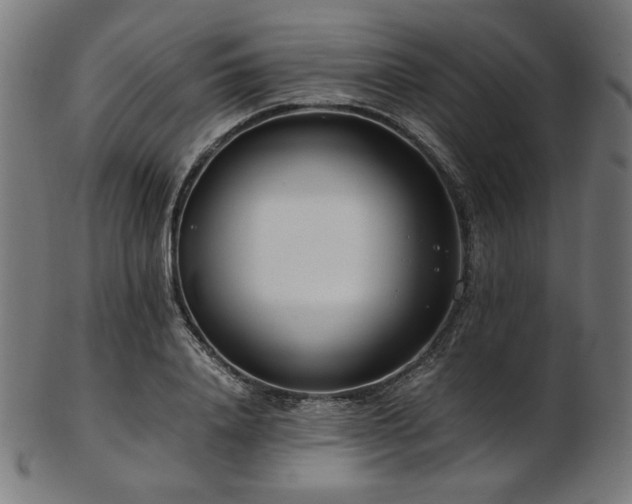 X0000103480840200809121648