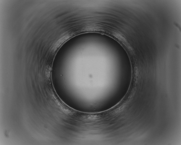 X0000103480841200809121648