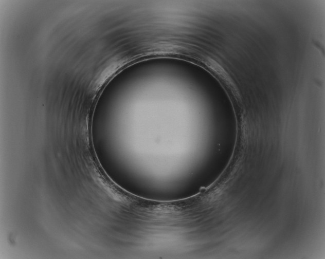 X0000103480842200809121648