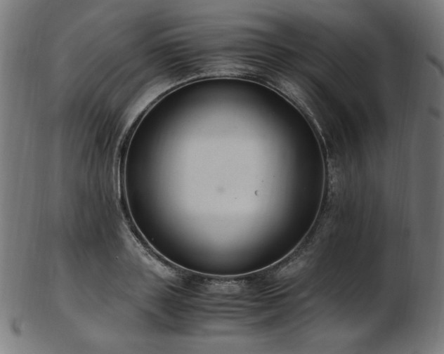 X0000103480843200809121648