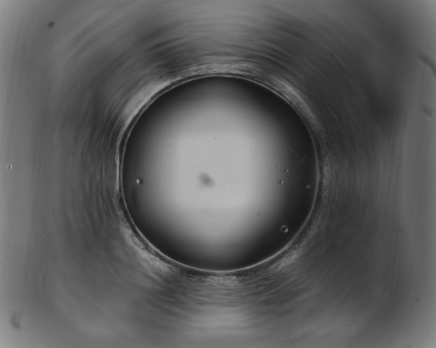 X0000103480844200809121648