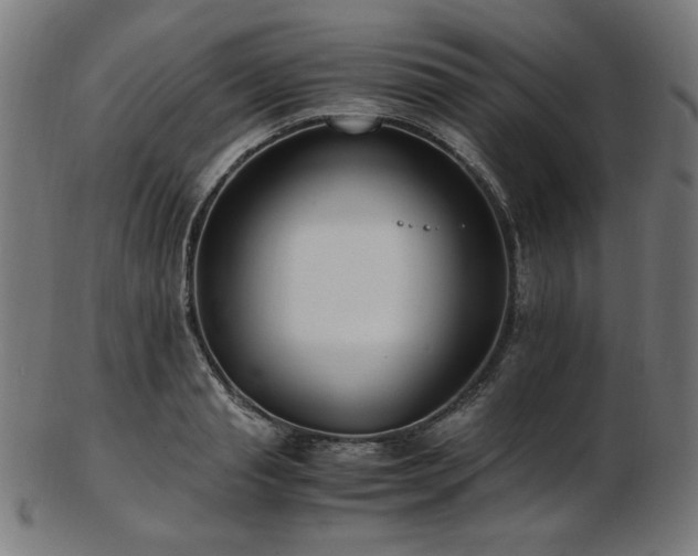 X0000103480845200809121648