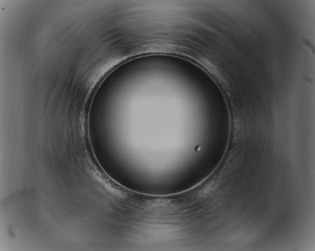 X0000103480846200809121648