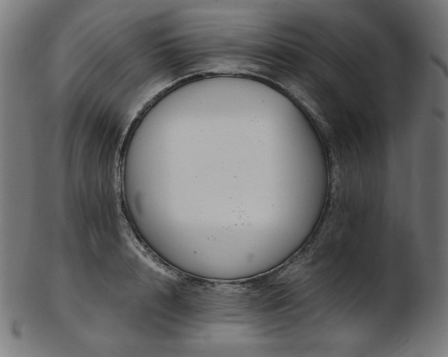 X0000103480848200809121648