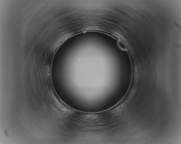 X0000103480849200809121648