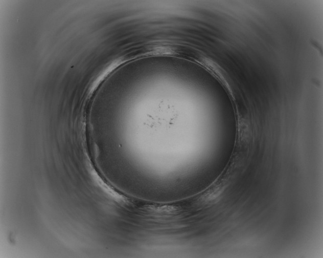 X0000103480851200809121648