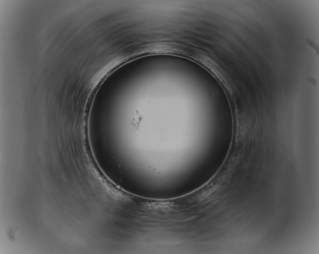 X0000103480853200809121648