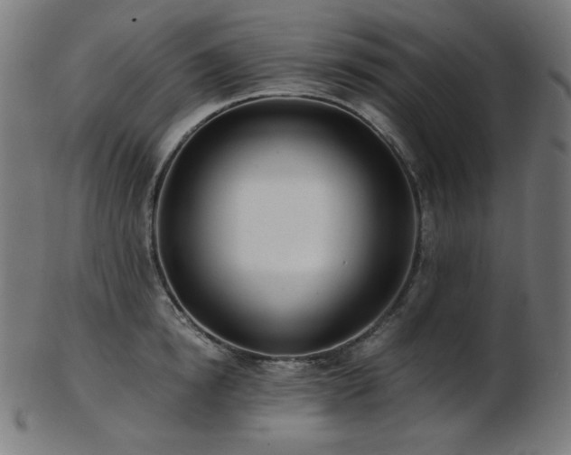 X0000103480854200809121648
