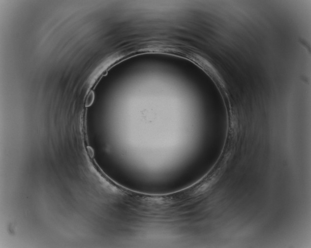 X0000103480855200809121648