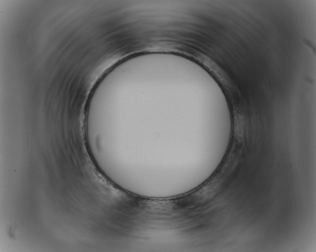 X0000103480856200809121648