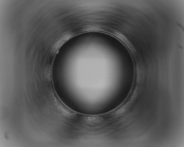X0000103480857200809121648