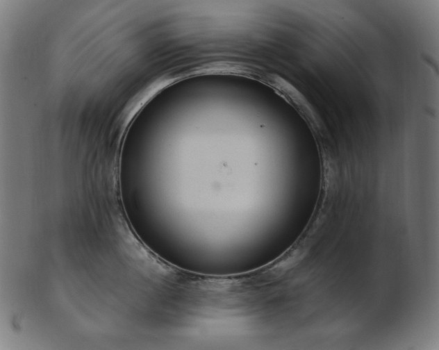 X0000103480860200809121648