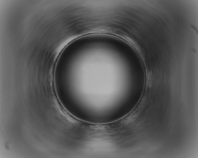 X0000103480862200809121648