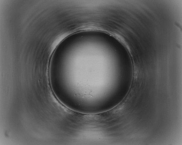 X0000103480863200809121648
