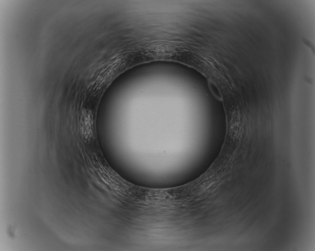 X0000103480866200809121648