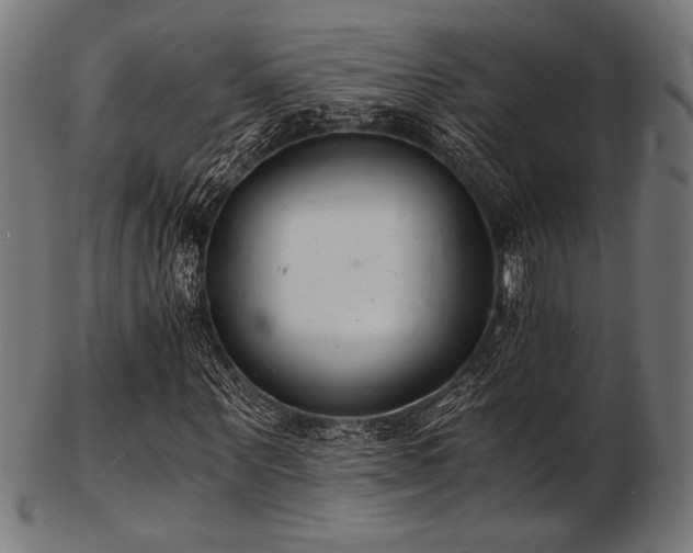 X0000103480867200809121648