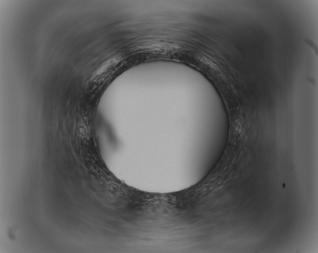 X0000103480869200809121648
