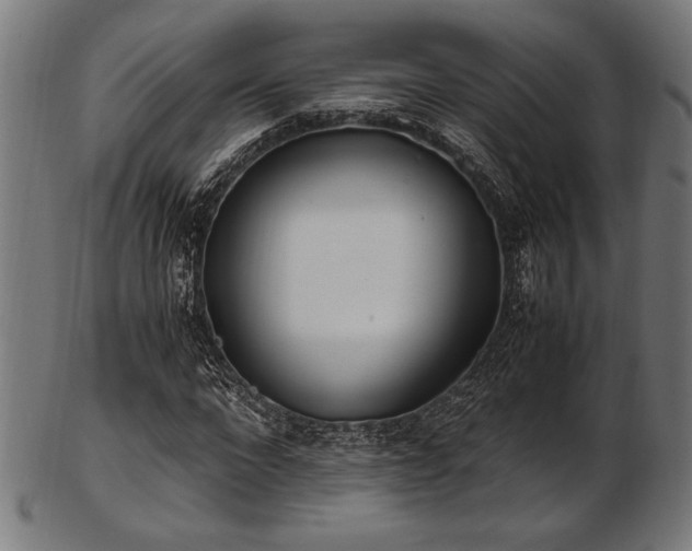 X0000103480872200809121648