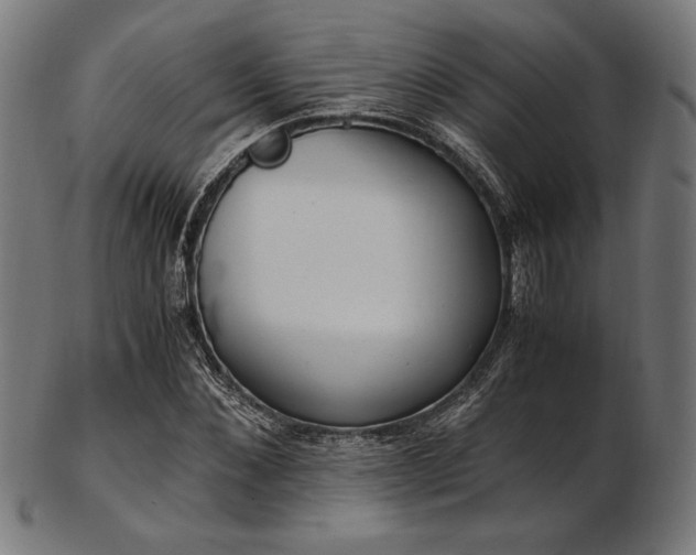 X0000103480876200809121648