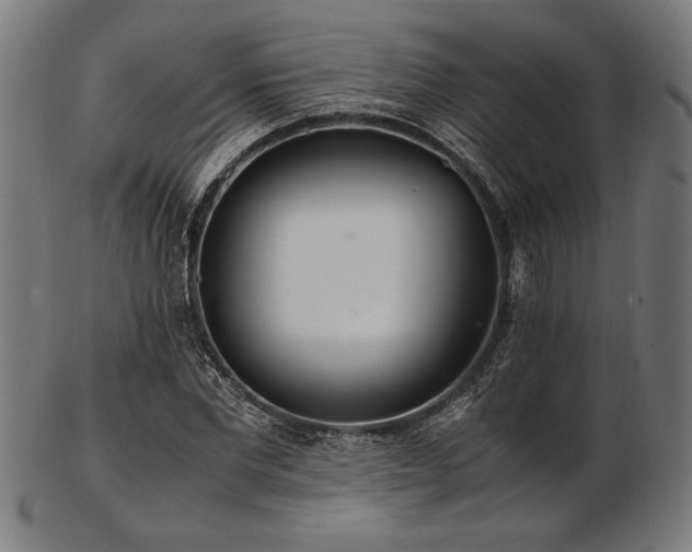 X0000103480877200809121648