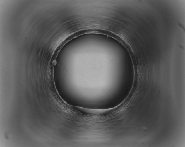 X0000103480879200809121648