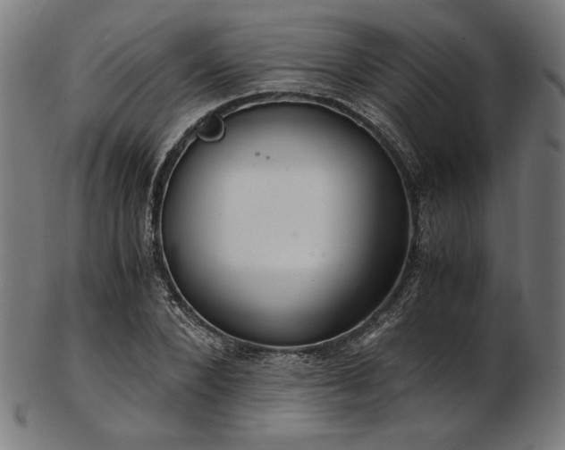 X0000103480880200809121648