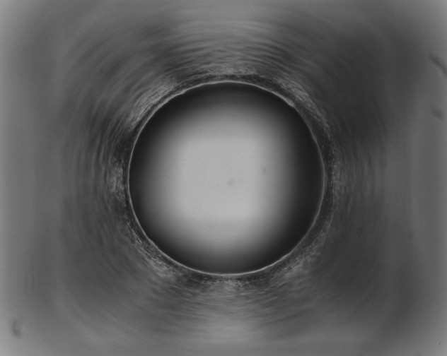 X0000103480881200809121648
