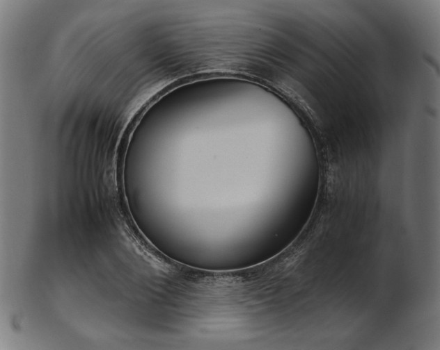 X0000103480884200809121648