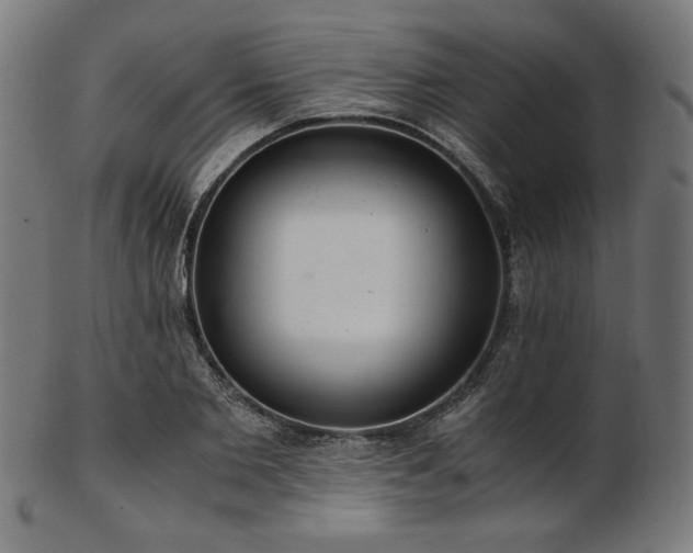 X0000103480885200809121648
