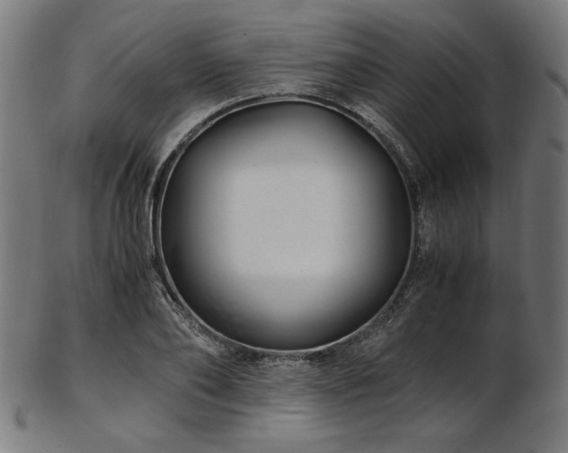 X0000103480886200809121648