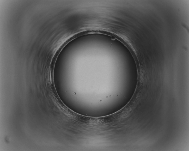 X0000103480887200809121648