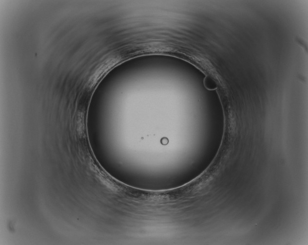 X0000103480889200809121647