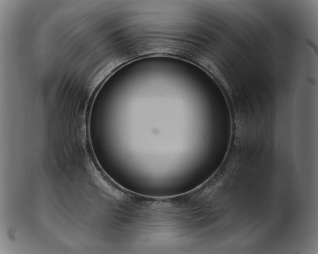 X0000103480890200809121647
