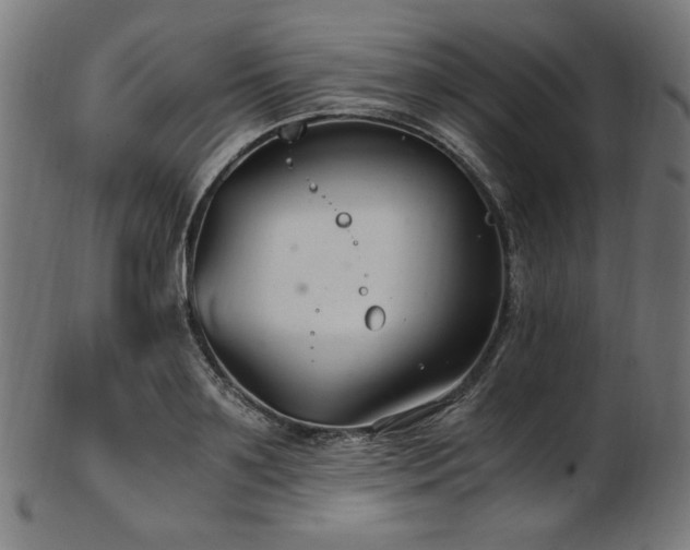 X0000103480891200809121647