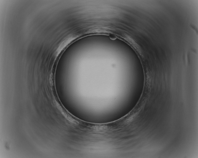 X0000103480893200809121647