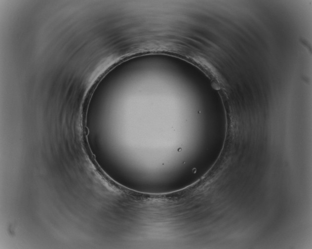 X0000103480894200809121647