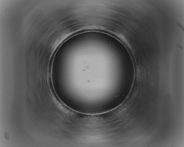X0000103480895200809121647
