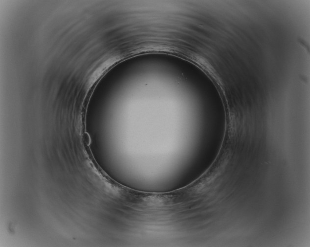 X0000103480898200809121647