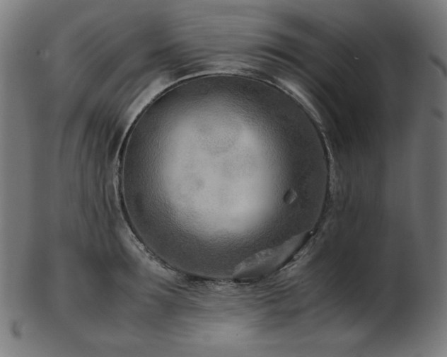X0000103480899200809121647