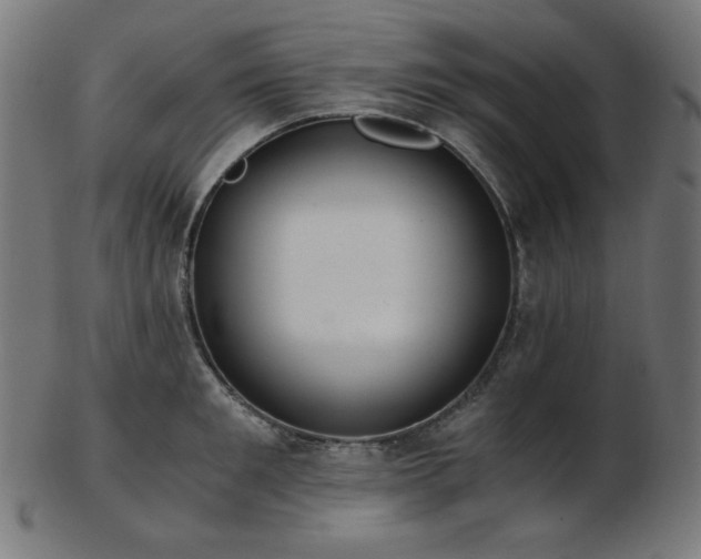 X0000103480901200809121647