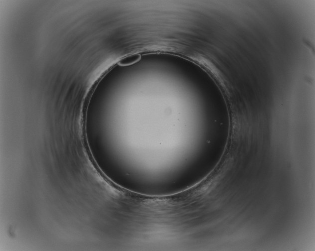 X0000103480902200809121647