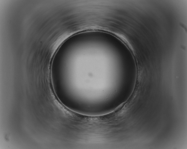 X0000103480903200809121647