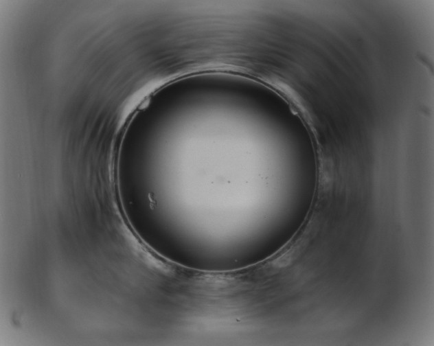 X0000103480910200809121647
