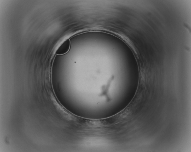 X0000103480911200809121647