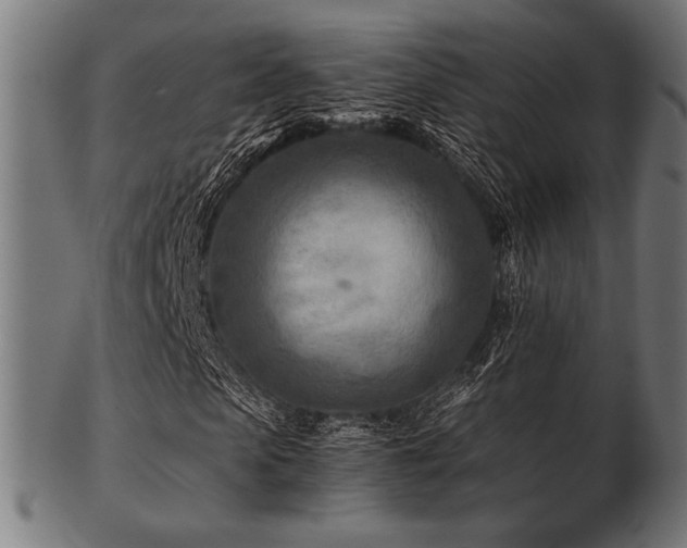 X0000103480913200809121646