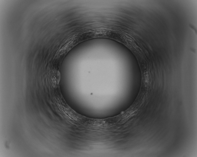 X0000103480916200809121646